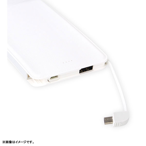 GOODS-04065027_01.jpg