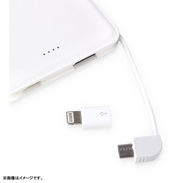 GOODS-04065027_02.jpg