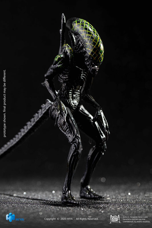 AVP 1/18 アクションフィギュア グリッドエイリアン[ハイヤトイズ]《在庫切れ》