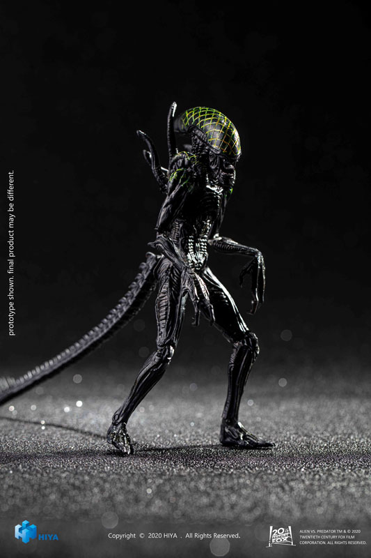 注文割引 AVP2 グリッドエイリアン SF/ファンタジー/ホラー - maqaad.sa