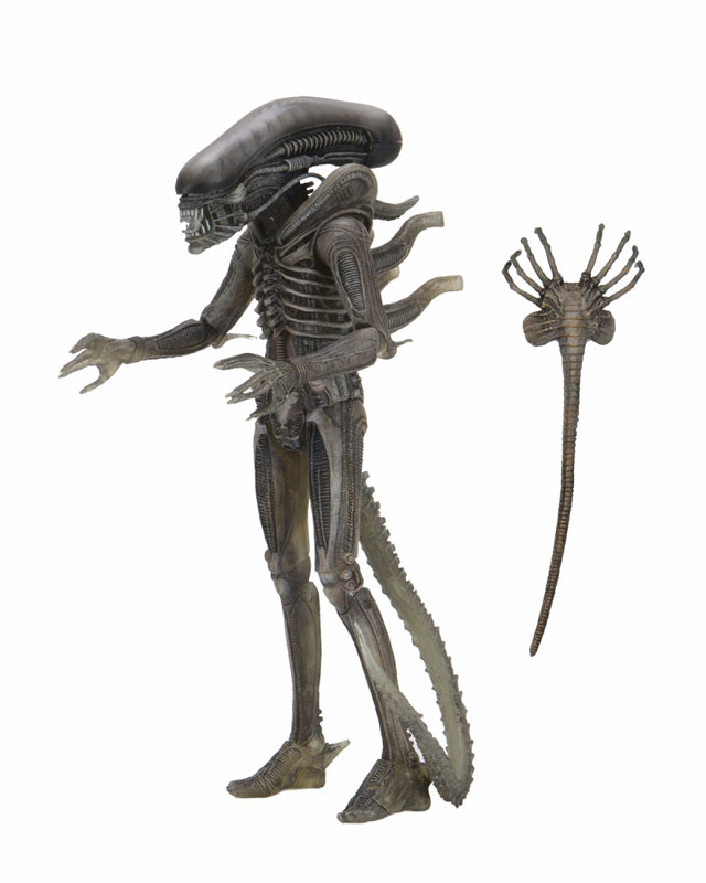 FIGURE-121966_03.jpg