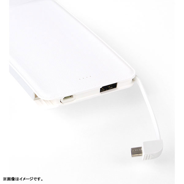 GOODS-04072554_02.jpg