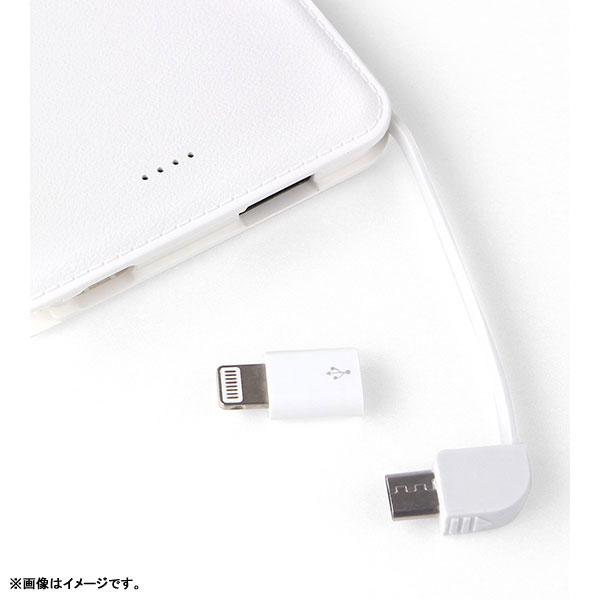 GOODS-04072555_03.jpg