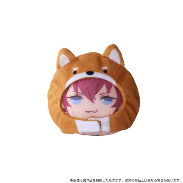 スケートリーディング☆スターズ あにずきん 第1弾: キャラ