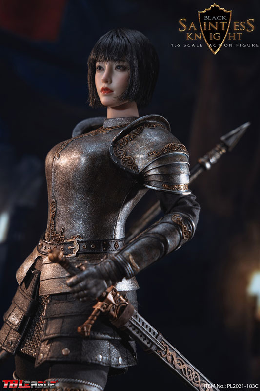 1/6 アクションフィギュア セイントナイト ブラック[TBリーグ