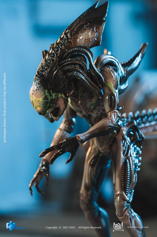 エクスクイジット ミニ AVP2 1/18 アクションフィギュア