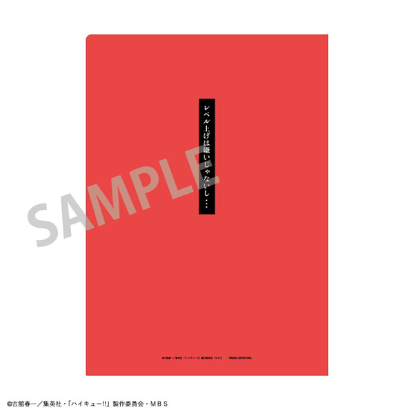 GOODS-04178653_16.jpg