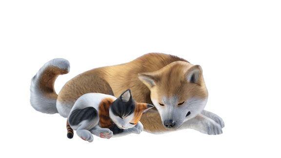 GAME-0026619_09.jpg