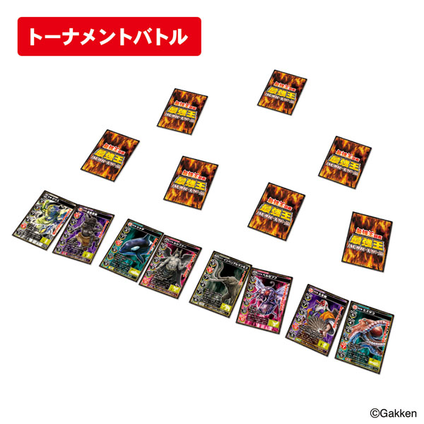 TOY-017916_06.jpg
