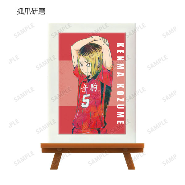 GOODS-04266543_10.jpg