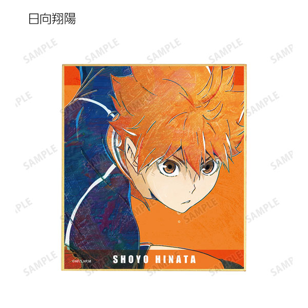 GOODS-04266544_01.jpg