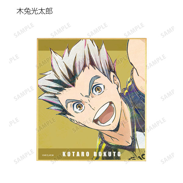 GOODS-04266544_11.jpg