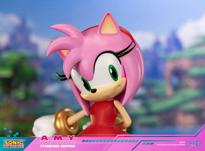 トップスRTVG Super Sonic エミー ローズ   amy rose パーカー