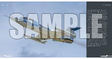MED-BOOK-031792_01.jpg