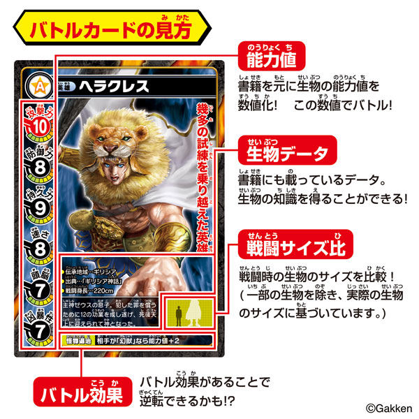 TOY-018849_03.jpg