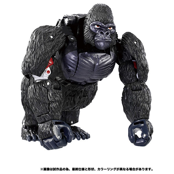 トランスフォーマー BWVS-01 恒久ビーストの対決[タカラトミー]《在庫