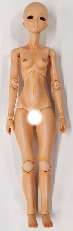 FIGURE-153113_01.jpg