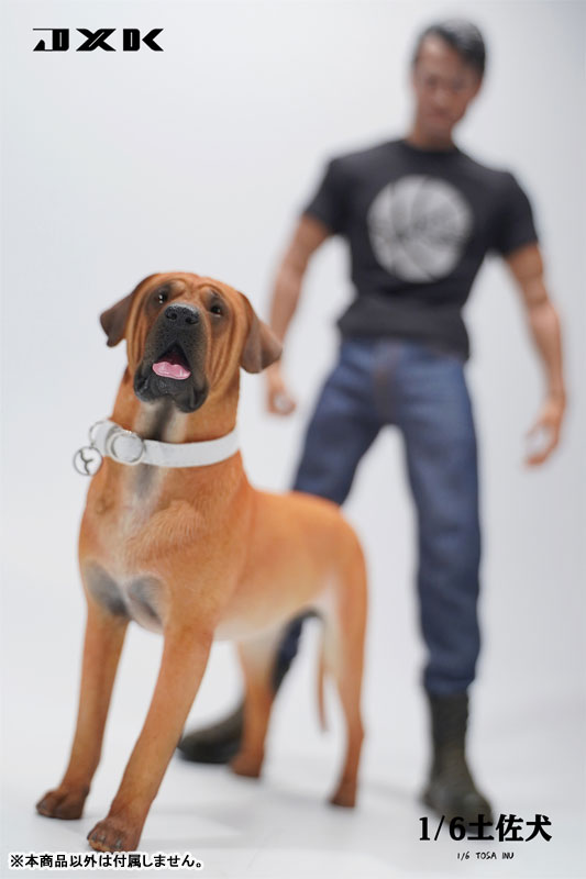 1/6 土佐犬 A2amiami.jpあみあみオンライン本店