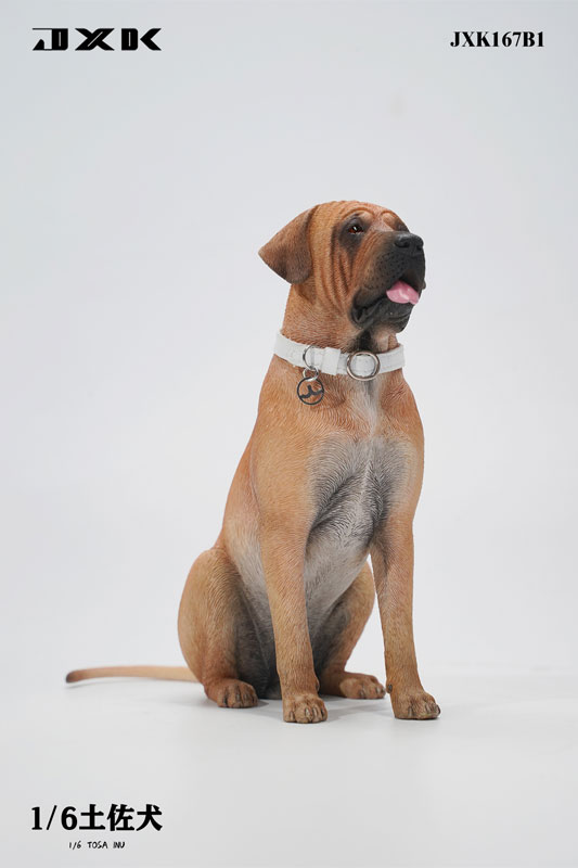 1/6 土佐犬 B1amiami.jpあみあみオンライン本店