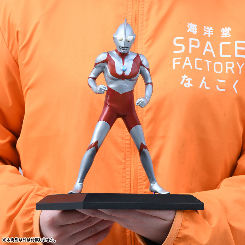 FIGURE-154821_08.jpg