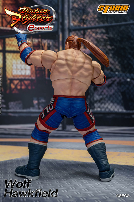 バーチャファイター eスポーツ アクションフィギュア ウルフ・ホークフィールド