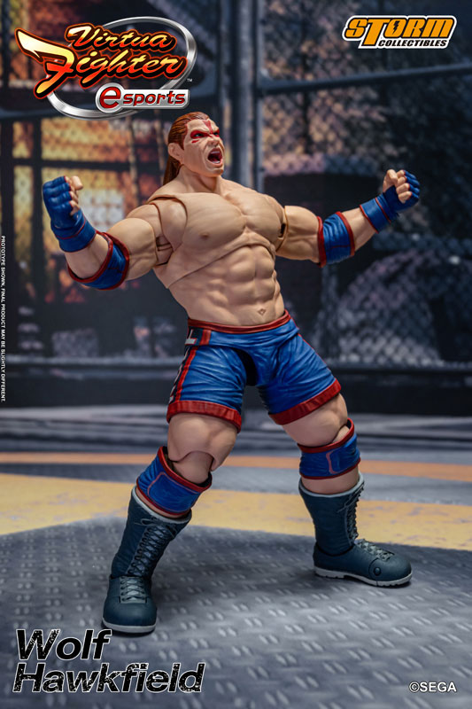 バーチャファイター eスポーツ アクションフィギュア ウルフ・ホークフィールド