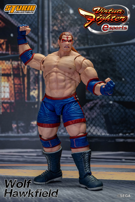 バーチャファイター eスポーツ アクションフィギュア ウルフ・ホークフィールド