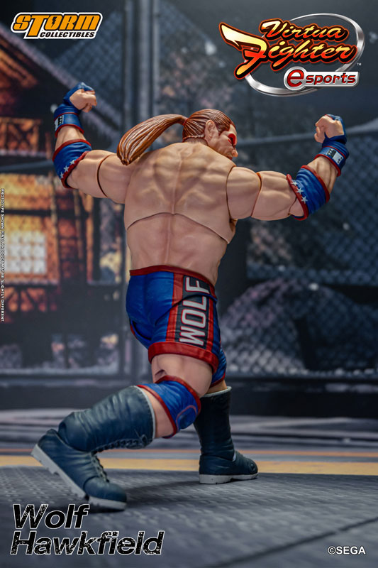 バーチャファイター eスポーツ アクションフィギュア ウルフ・ホークフィールド