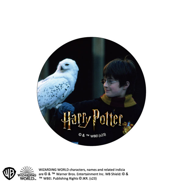 ハリーポッター トレーディング缶バッジ1 ハリーポッターと賢者の石 10