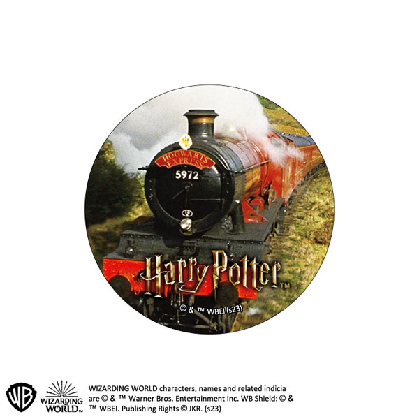 ハリーポッター トレーディング缶バッジ1 ハリーポッターと賢者の石 10