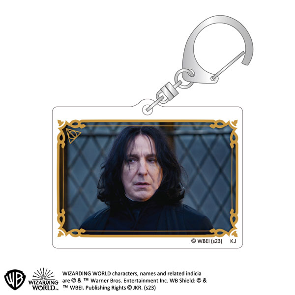 ハリーポッター トレーディングアクリルキーホルダー8 ハリーポッター