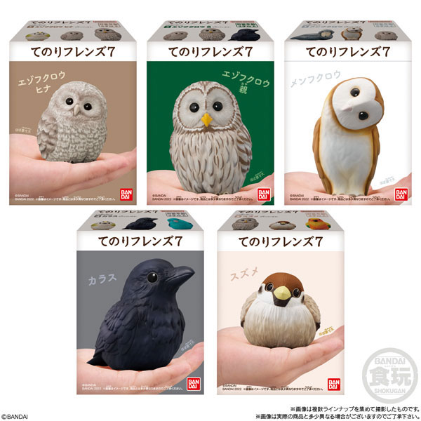 てノリフレンズ7コンプリート7全10種類 Amazon.co.jp: てのりフレンズ7 [全10種セット(フルコンプ)]※BOX