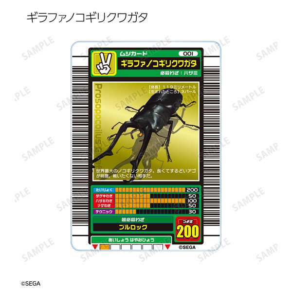 昆虫ムシキングトレーディングカード 10枚セット 甲虫王者ムシキング トレーディングアクリルカード 10個入りBOX[アルマ