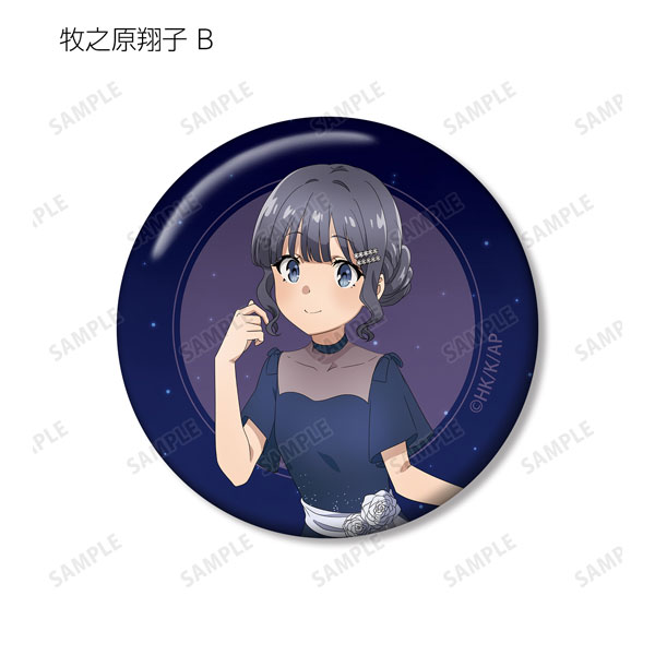 GOODS-04387901_12.jpg