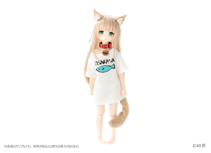 【限定販売】きゃらDo！！ 1/6 きなこ ドール 通常版