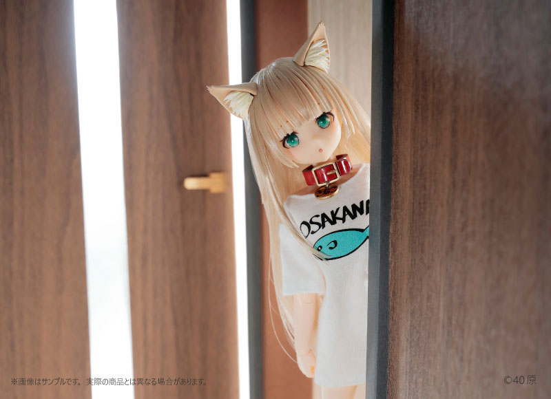 【限定販売】きゃらDo！！ 1/6 きなこ ドール 通常版