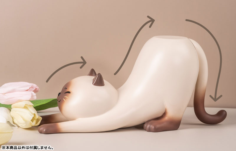 下受けのネコ(シャム猫)[Shenzhen Mabell Animation Development Co.，Ltd]