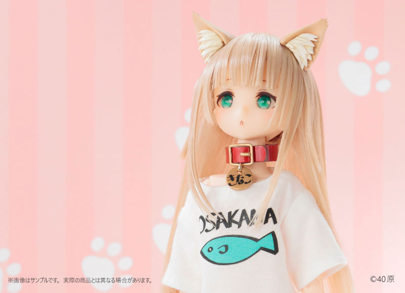 【あみあみ限定特典】【限定販売】きゃらDo！！ 1/6 きなこ ドール 通常版