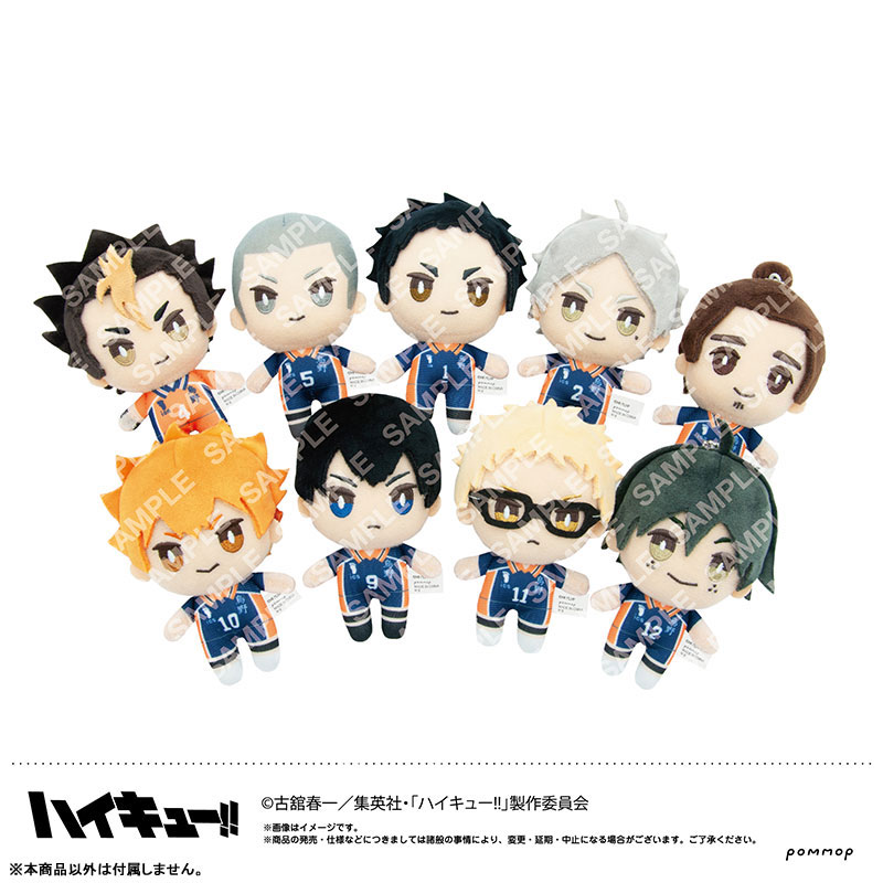 ハイキュー　おみくじ　BIG オーロラ　ブロッキー　ショウワノート　澤村大地 Amazon.co.jp: ハイキュー クリアカードコレクション 烏野高校