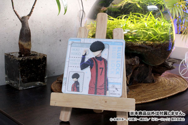 GOODS-04429088_11.jpg