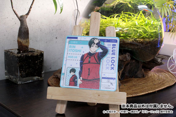 GOODS-04429088_15.jpg