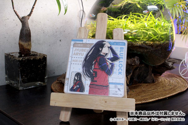 GOODS-04429088_17.jpg
