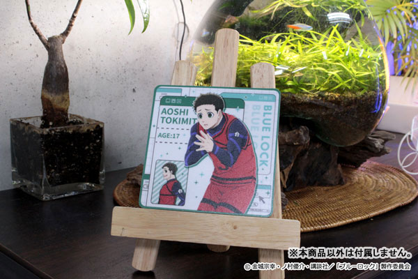 GOODS-04429088_19.jpg