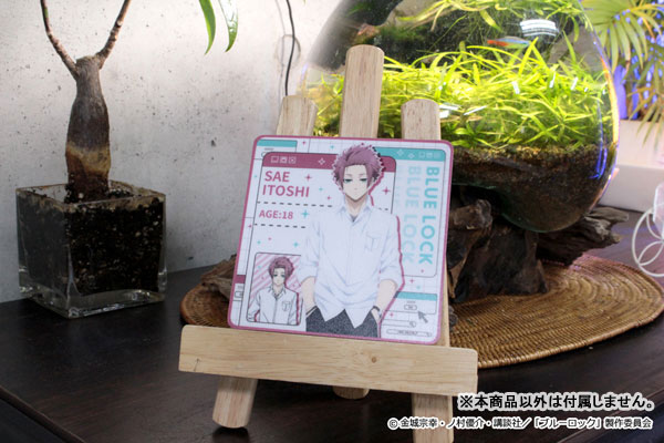 GOODS-04429088_21.jpg