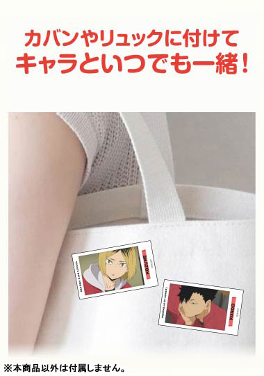 アクリルバッジ ハイキュー!!Vol.2 音駒高校BOX 10個入りBOX アクリルバッジ ハイキュー!!Vol.2 音駒高校BOX 10個入りBOX