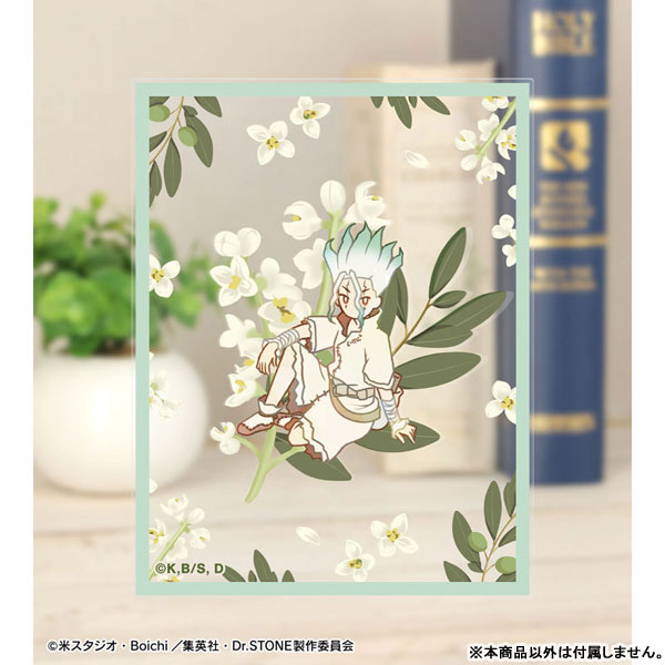 GOODS-04437639_11.jpg