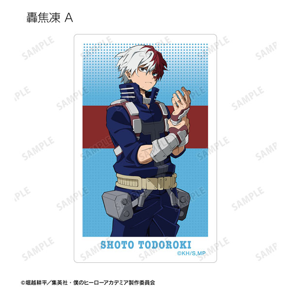 GOODS-04463422_06.jpg