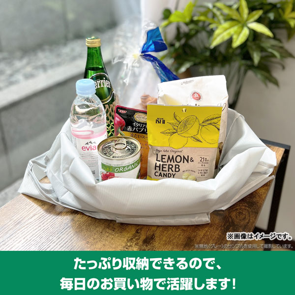GOODS-04464004_06.jpg