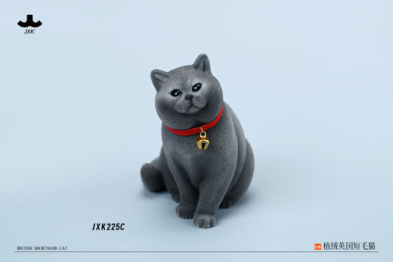 1/6 ブリティッシュ ショートヘア キャット C[JXKスタジオ