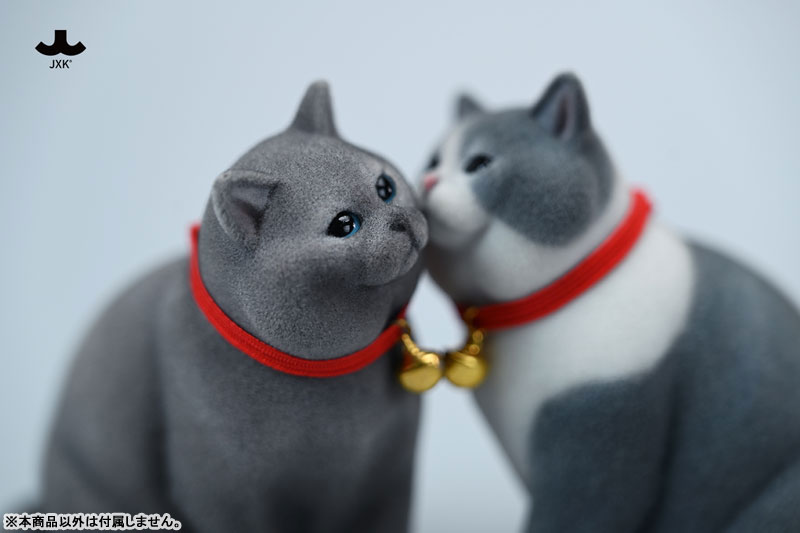 1/6 ブリティッシュ ショートヘア キャット C